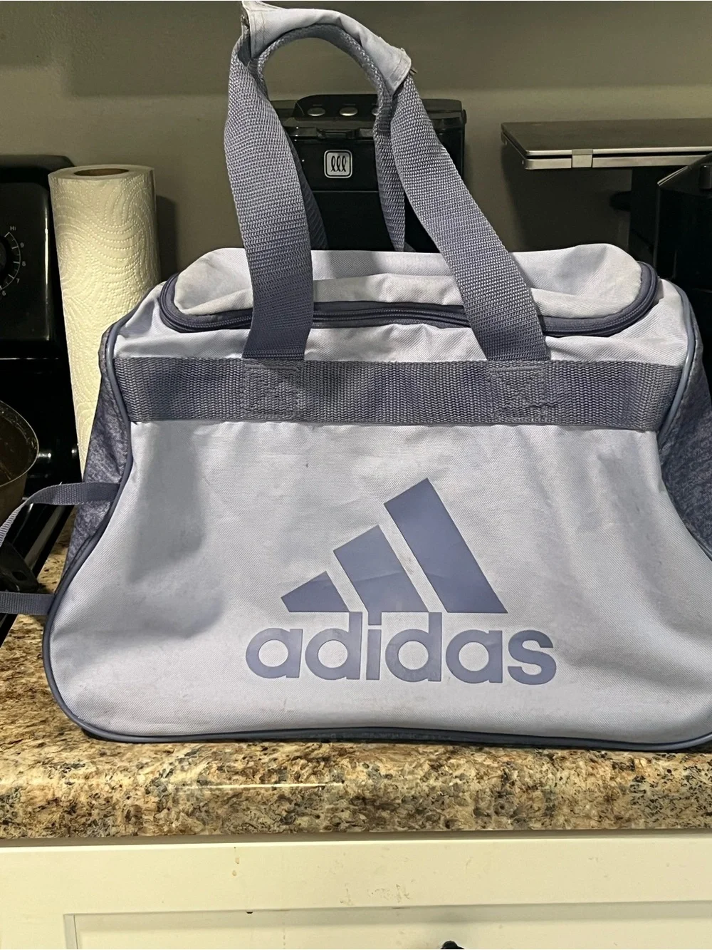 adidas Light Gray and Slate Blue Duffel Bag